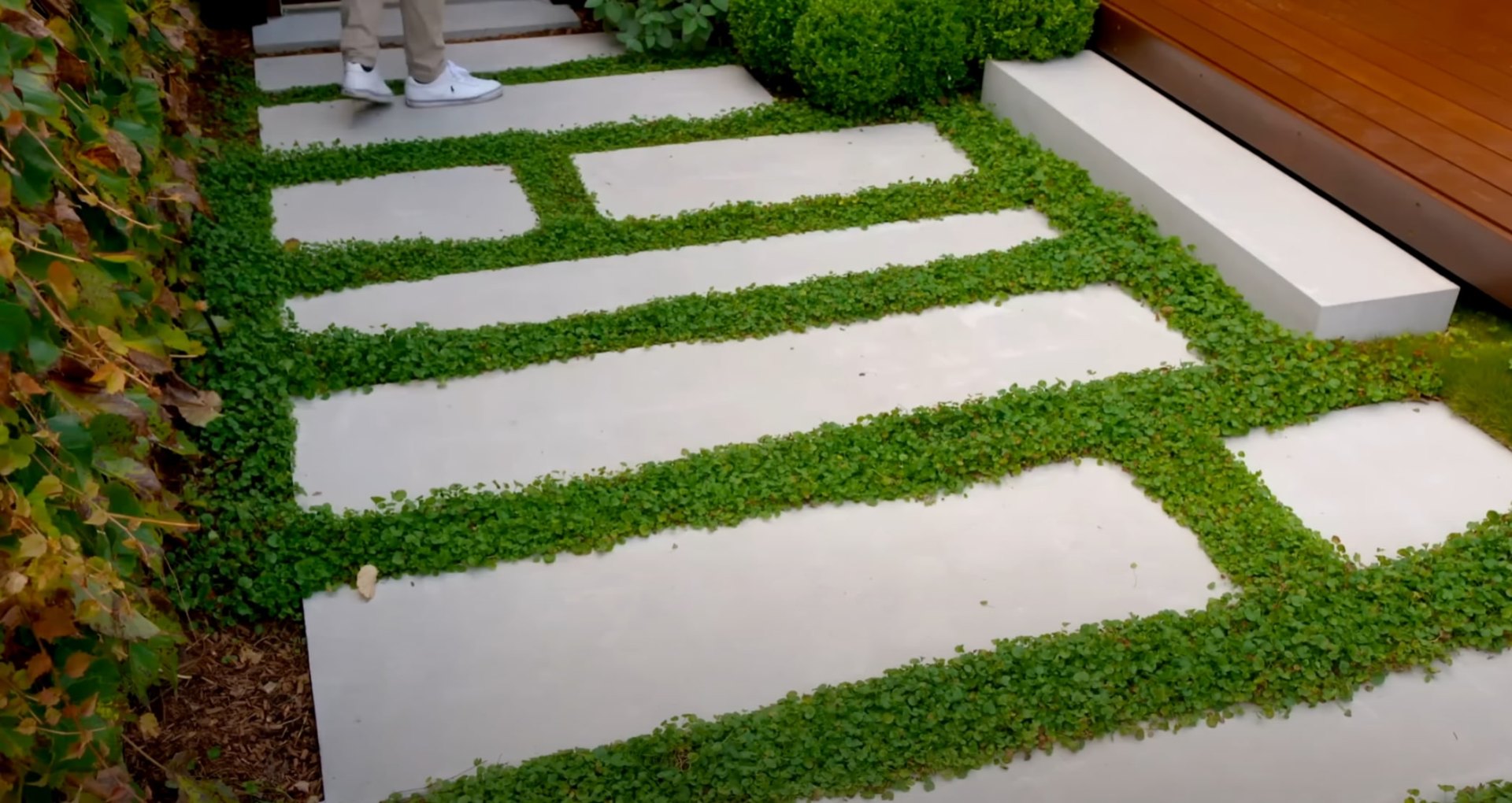 Modern Pathway and Hardscaping Contemporary pathway design with concrete pavers and ground cover plantings