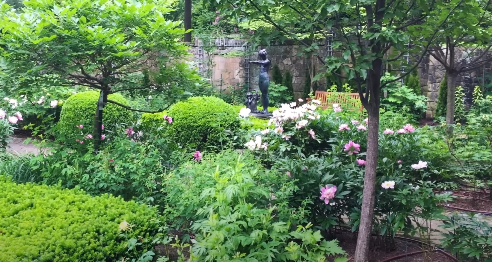 Mature Garden and Water Features Mature garden with blooming flowers, ornamental shrubs, and stone water feature