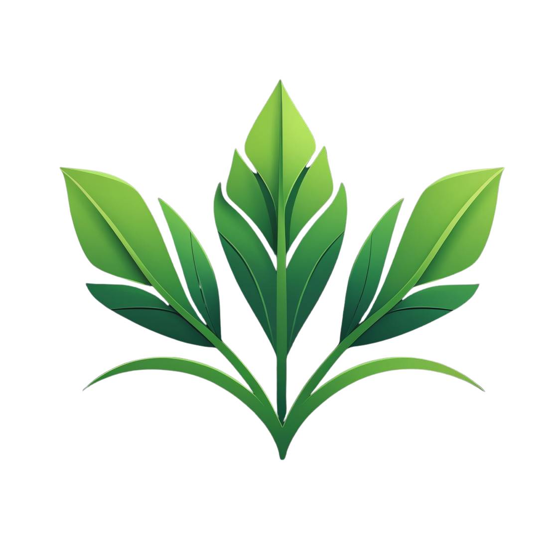 CareWay Poinciana Landscapers - Professional Landscaping Services CareWay Poinciana Landscapers Logo